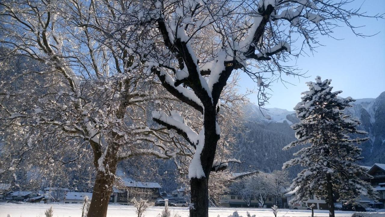 Hotel Garni Birkenhof Майргофен Екстер'єр фото